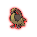Dark Pidgeot